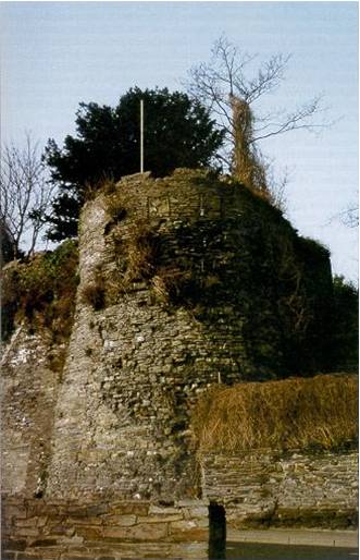 cardigancastle.jpg